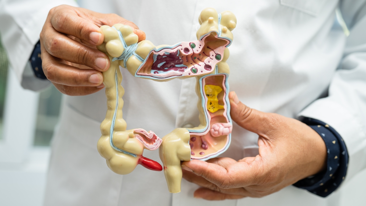 Gut Health